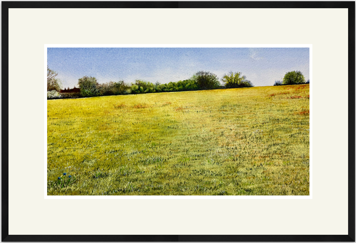 Cut grass lies frail