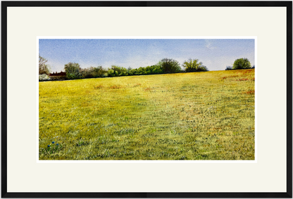 Cut grass lies frail