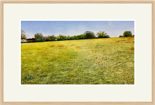 Cut grass lies frail