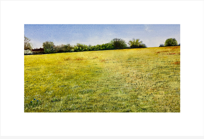 Cut grass lies frail