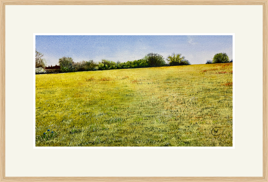 Cut grass lies frail