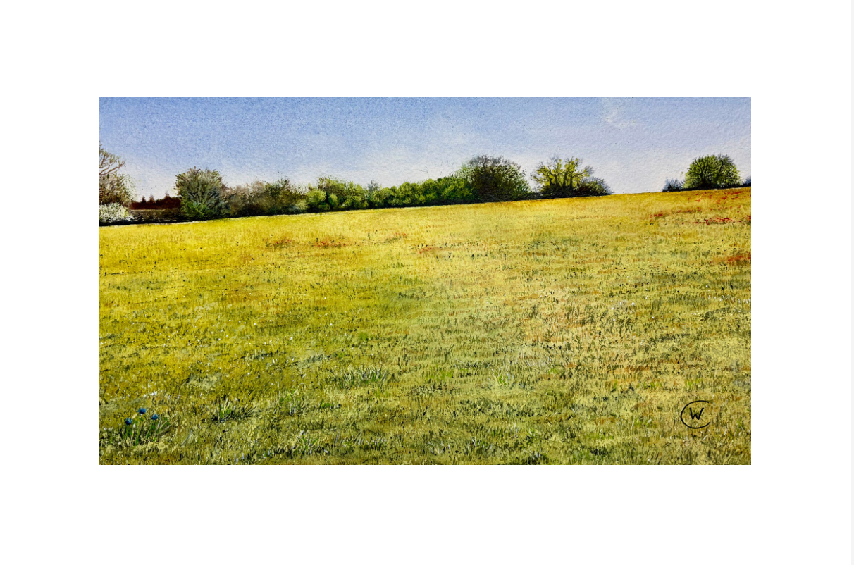 Cut grass lies frail