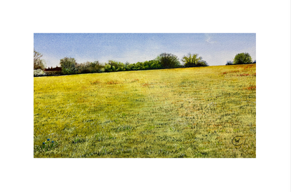 Cut grass lies frail