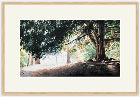 Under the shade of the trees