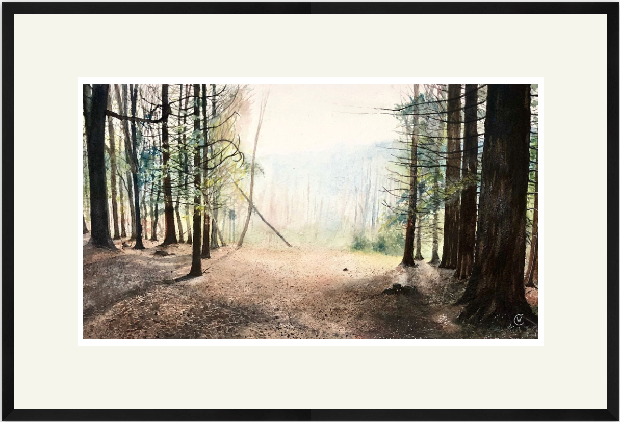 The smell of the warm summer air