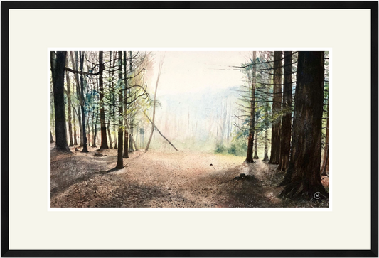 The smell of the warm summer air