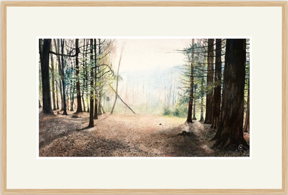 The smell of the warm summer air