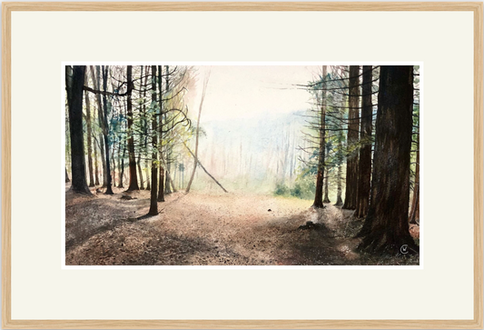 The smell of the warm summer air