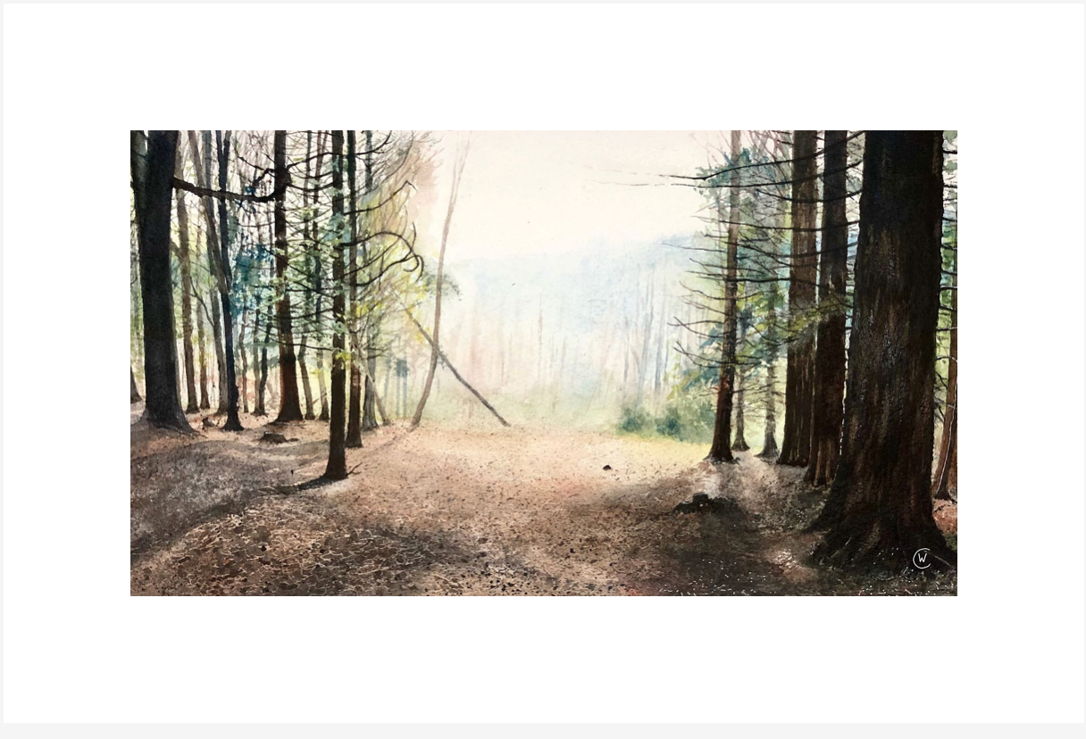 The smell of the warm summer air