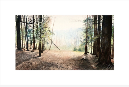 The smell of the warm summer air