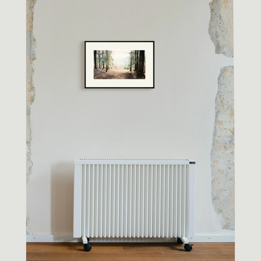 The smell of the warm summer air