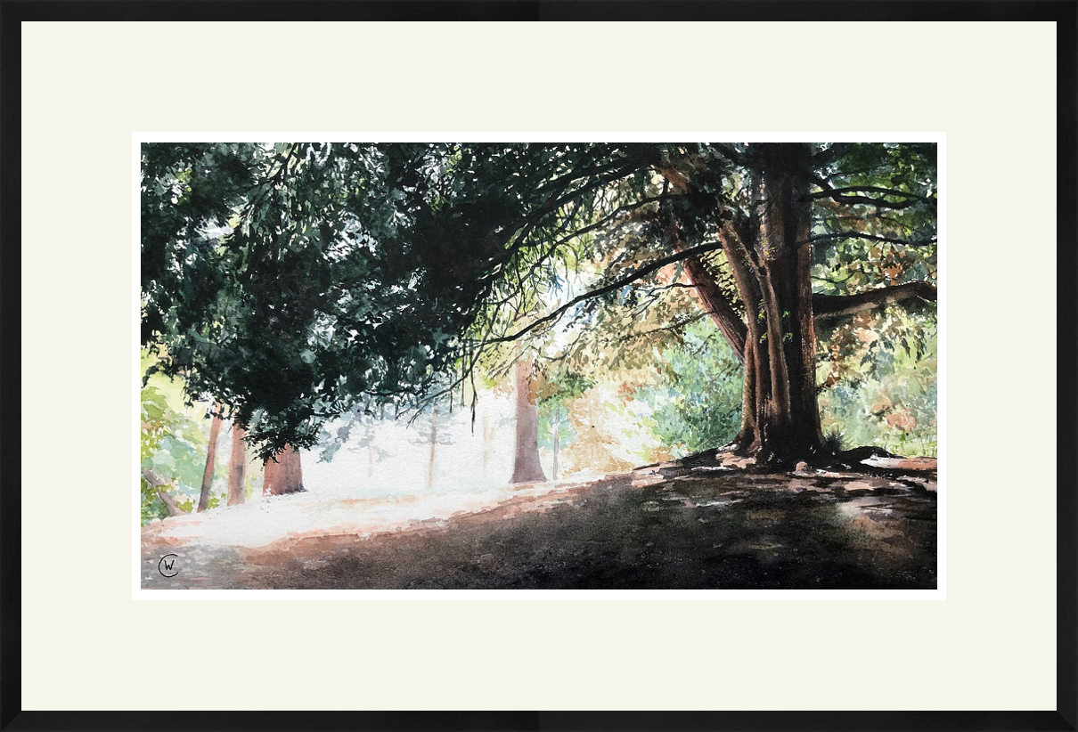 Under the shade of the trees