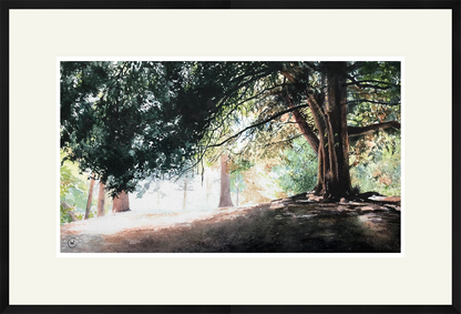 Under the shade of the trees