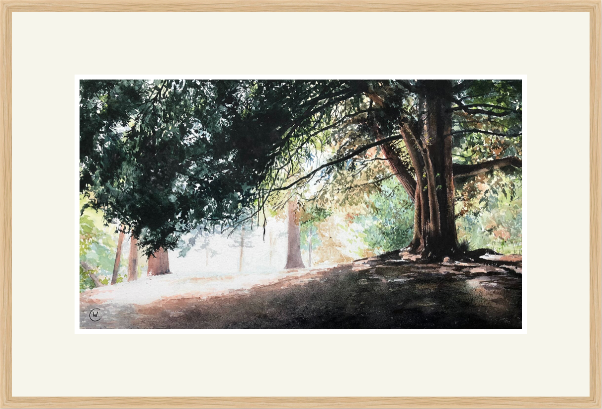 Under the shade of the trees