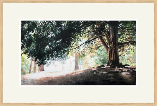 Under the shade of the trees