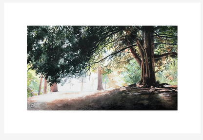 Under the shade of the trees