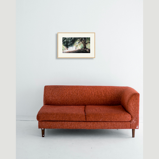 Under the shade of the trees